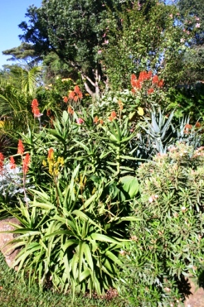 Karen tropical nursery