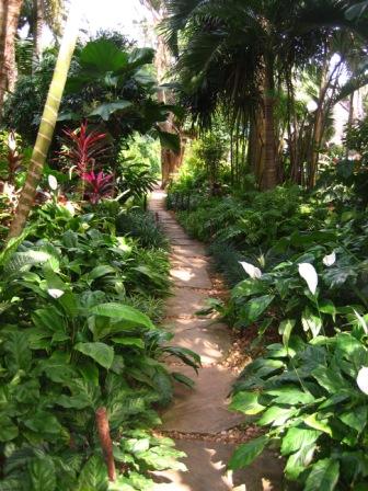 malindi tropical nursery